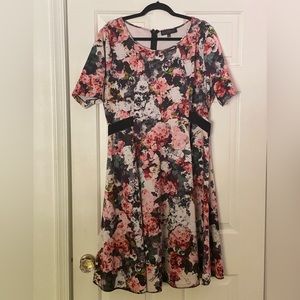 Eloquii Floral Belted Scuba Dress 🌸